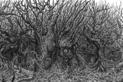 Δάσος/Woodland