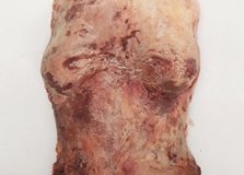 asprogianni-torso