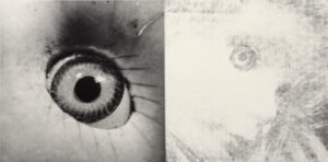 ID-ENTITIES