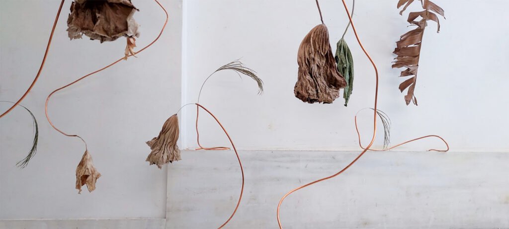 Botanical Relics: chapter I