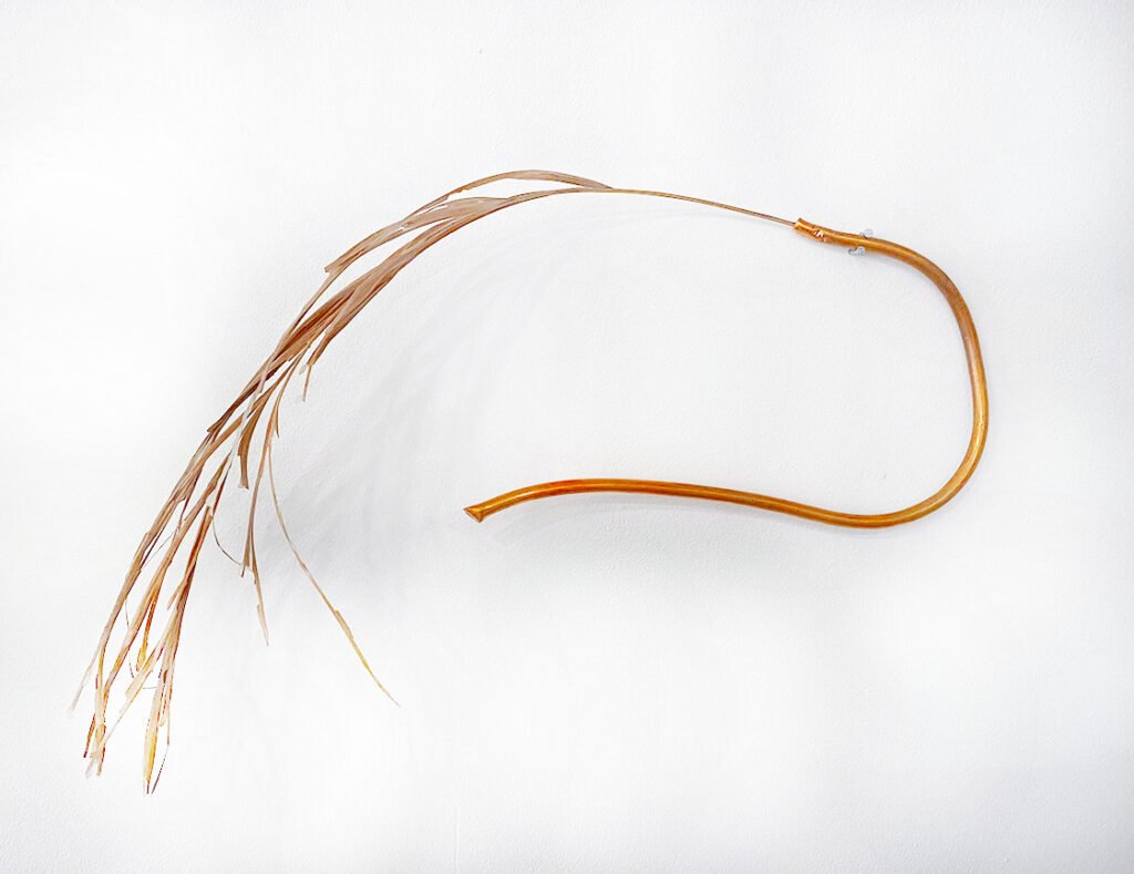 Botanical Relics: chapter I