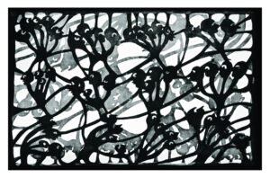 Dimitra Siaterli Cohesive networks