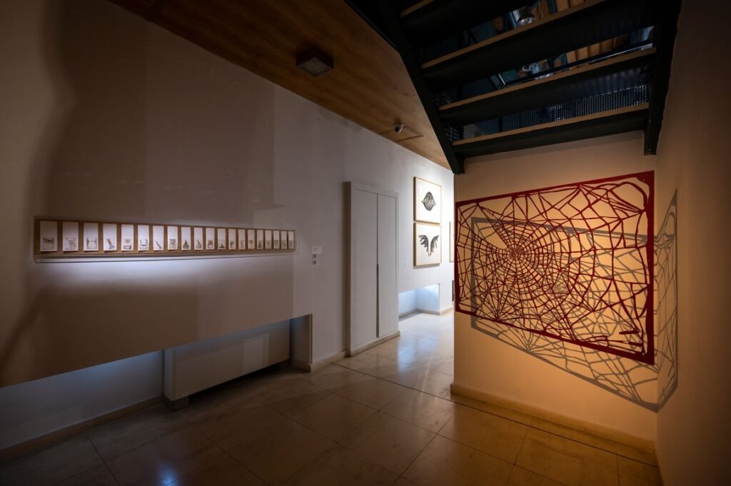 Dimitra Siaterli Cohesive networks