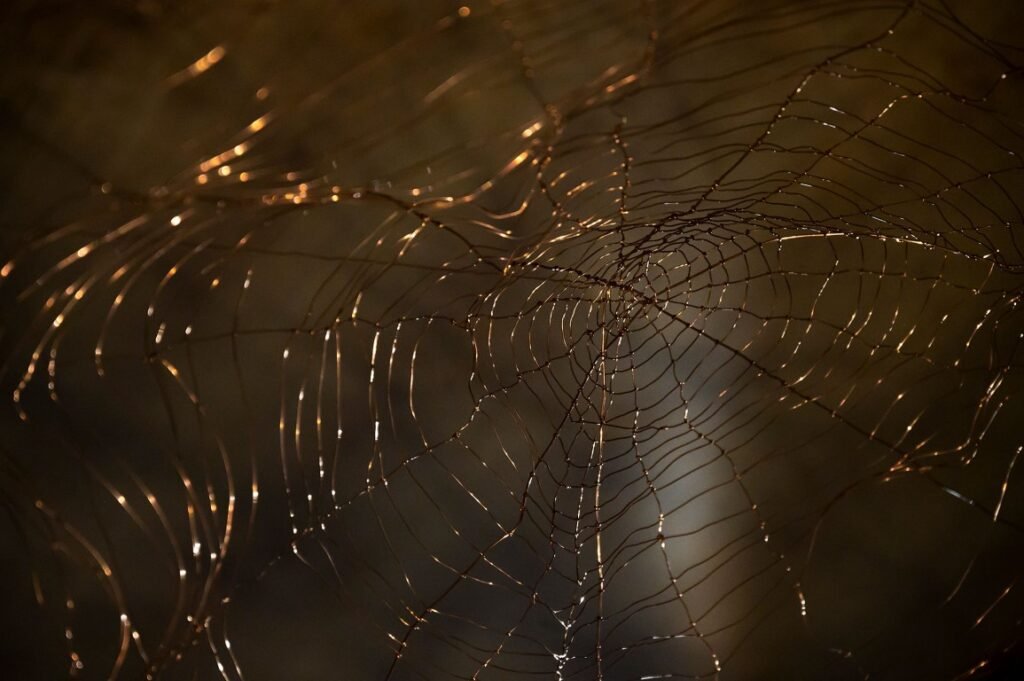Dimitra Siaterli Cohesive networks